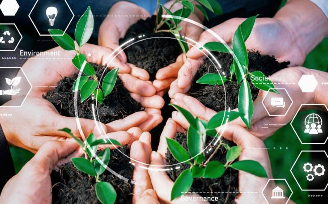 Sustainability